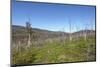 Tundra Landscape-lubastock-Mounted Photographic Print