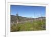 Tundra Landscape-lubastock-Framed Photographic Print