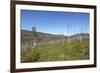 Tundra Landscape-lubastock-Framed Photographic Print