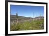 Tundra Landscape-lubastock-Framed Photographic Print