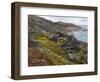 Tundra near glacier Eqip (Eqip Sermia) in western Greenland, Denmark-Martin Zwick-Framed Photographic Print