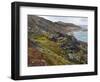 Tundra near glacier Eqip (Eqip Sermia) in western Greenland, Denmark-Martin Zwick-Framed Photographic Print