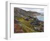 Tundra near glacier Eqip (Eqip Sermia) in western Greenland, Denmark-Martin Zwick-Framed Photographic Print