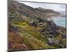 Tundra near glacier Eqip (Eqip Sermia) in western Greenland, Denmark-Martin Zwick-Mounted Photographic Print