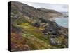 Tundra near glacier Eqip (Eqip Sermia) in western Greenland, Denmark-Martin Zwick-Stretched Canvas