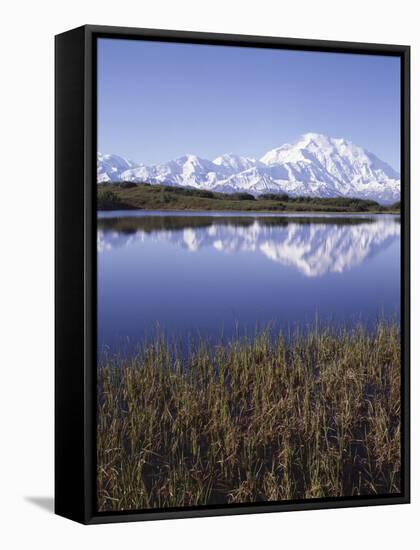 Tundra Pond in Summer, Denali National Park, Mount Mckinley, Alaska, Usa-Gerry Reynolds-Framed Stretched Canvas