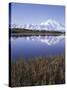 Tundra Pond in Summer, Denali National Park, Mount Mckinley, Alaska, Usa-Gerry Reynolds-Stretched Canvas