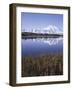 Tundra Pond in Summer, Denali National Park, Mount Mckinley, Alaska, Usa-Gerry Reynolds-Framed Photographic Print