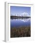 Tundra Pond in Summer, Denali National Park, Mount Mckinley, Alaska, Usa-Gerry Reynolds-Framed Photographic Print