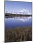 Tundra Pond in Summer, Denali National Park, Mount Mckinley, Alaska, Usa-Gerry Reynolds-Mounted Photographic Print