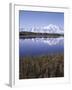 Tundra Pond in Summer, Denali National Park, Mount Mckinley, Alaska, Usa-Gerry Reynolds-Framed Photographic Print