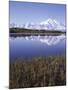 Tundra Pond in Summer, Denali National Park, Mount Mckinley, Alaska, Usa-Gerry Reynolds-Mounted Photographic Print