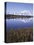 Tundra Pond in Summer, Denali National Park, Mount Mckinley, Alaska, Usa-Gerry Reynolds-Stretched Canvas