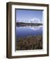 Tundra Pond in Summer, Denali National Park, Mount Mckinley, Alaska, Usa-Gerry Reynolds-Framed Photographic Print