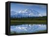 Tundra Ponds, Mt. Mckinley, AK-Frank Staub-Framed Stretched Canvas