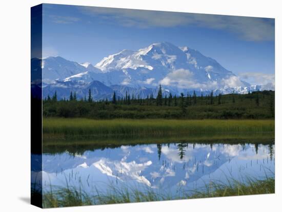 Tundra Ponds, Mt. Mckinley, AK-Frank Staub-Stretched Canvas