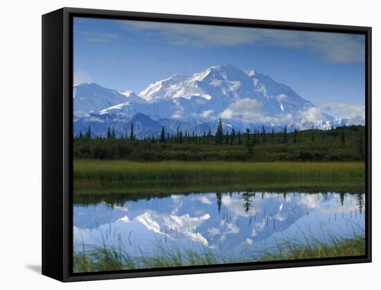 Tundra Ponds, Mt. Mckinley, AK-Frank Staub-Framed Stretched Canvas