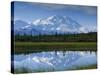 Tundra Ponds, Mt. Mckinley, AK-Frank Staub-Stretched Canvas
