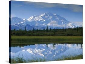 Tundra Ponds, Mt. Mckinley, AK-Frank Staub-Stretched Canvas