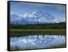 Tundra Ponds, Mt. Mckinley, AK-Frank Staub-Framed Stretched Canvas