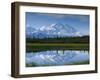 Tundra Ponds, Mt. Mckinley, AK-Frank Staub-Framed Premium Photographic Print