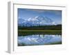 Tundra Ponds, Mt. Mckinley, AK-Frank Staub-Framed Premium Photographic Print