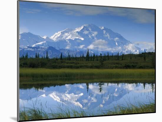 Tundra Ponds, Mt. Mckinley, AK-Frank Staub-Mounted Premium Photographic Print