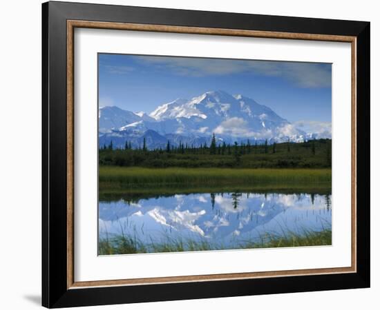 Tundra Ponds, Mt. Mckinley, AK-Frank Staub-Framed Photographic Print