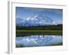 Tundra Ponds, Mt. Mckinley, AK-Frank Staub-Framed Photographic Print