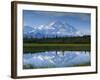 Tundra Ponds, Mt. Mckinley, AK-Frank Staub-Framed Photographic Print