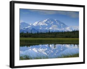 Tundra Ponds, Mt. Mckinley, AK-Frank Staub-Framed Photographic Print