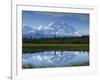 Tundra Ponds, Mt. Mckinley, AK-Frank Staub-Framed Photographic Print