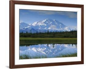 Tundra Ponds, Mt. Mckinley, AK-Frank Staub-Framed Photographic Print