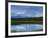 Tundra Ponds, Mt. Mckinley, AK-Frank Staub-Framed Photographic Print