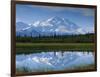 Tundra Ponds, Mt. Mckinley, AK-Frank Staub-Framed Photographic Print