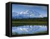 Tundra Ponds, Mt. Mckinley, AK-Frank Staub-Framed Stretched Canvas