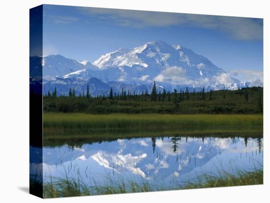 Tundra Ponds, Mt. Mckinley, AK-Frank Staub-Stretched Canvas