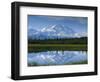 Tundra Ponds, Mt. Mckinley, AK-Frank Staub-Framed Photographic Print