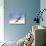 Tundra Swans in Flight-Delmas Lehman-Stretched Canvas displayed on a wall