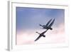 Tundra Swans in Flight-Delmas Lehman-Framed Photographic Print