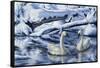 Tundra Swans-Jeff Tift-Framed Stretched Canvas