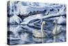 Tundra Swans-Jeff Tift-Stretched Canvas