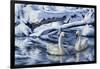 Tundra Swans-Jeff Tift-Framed Giclee Print