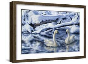 Tundra Swans-Jeff Tift-Framed Giclee Print