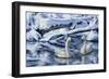 Tundra Swans-Jeff Tift-Framed Giclee Print