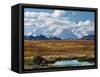 Tundra West of the Eieson Visitors Center, Pond with Beaver House, Mt. Denali, Alaska, USA-Charles Sleicher-Framed Stretched Canvas