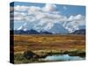 Tundra West of the Eieson Visitors Center, Pond with Beaver House, Mt. Denali, Alaska, USA-Charles Sleicher-Stretched Canvas