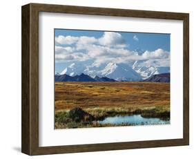 Tundra West of the Eieson Visitors Center, Pond with Beaver House, Mt. Denali, Alaska, USA-Charles Sleicher-Framed Photographic Print