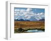 Tundra West of the Eieson Visitors Center, Pond with Beaver House, Mt. Denali, Alaska, USA-Charles Sleicher-Framed Photographic Print