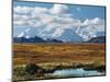 Tundra West of the Eieson Visitors Center, Pond with Beaver House, Mt. Denali, Alaska, USA-Charles Sleicher-Mounted Photographic Print